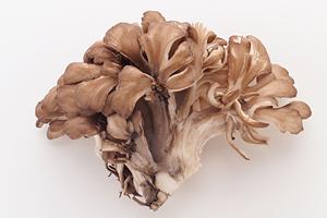 個室完備！倉敷駅にある大衆居酒屋