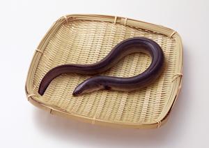 恵比寿水タバコが楽しめる話題のお店