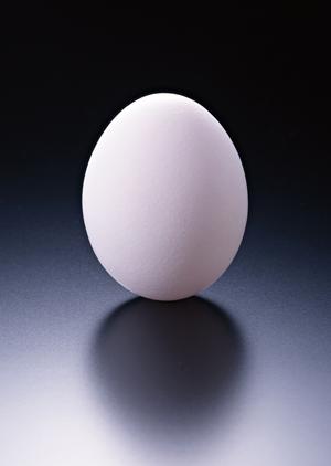 神保町の絶品ラーメン徹底ガイド2025｜地元で愛されるおすすめ店と最新情報