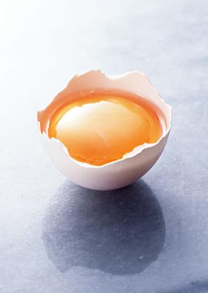 上下のない歌舞伎町の円型ホストクラブ