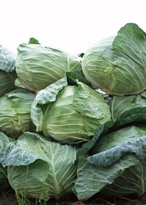 那覇の家族で楽しめる絶品ビュッフェレストラン！アイランドグリル那覇の魅力と特徴