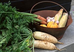 鎌倉のあんみつデザートを選ぶポイント