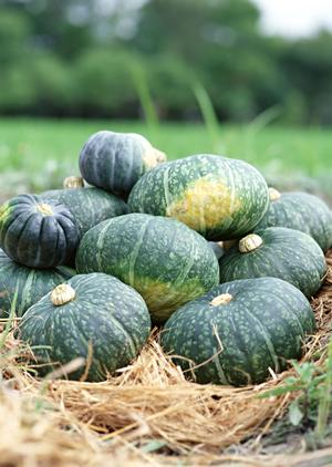 アーモンドの素晴らしい健康＆美容効果