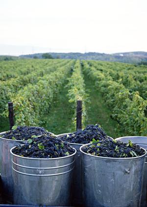 渋谷の夜景を楽しむならここ！魅力たっぷりのスカイバー完全ガイド