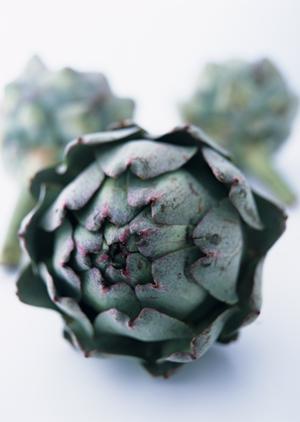 ウイスキー専門店の魅力について