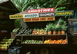 六本木のシェイクシャック – オフ・ザ・ウォールの魅力