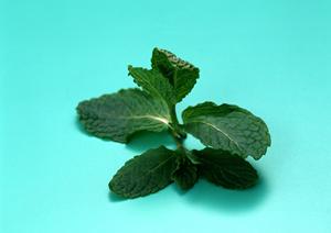 世界各国のお酒を探しているのなら