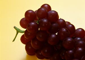 難波のおいしいお店を一つ選びたい