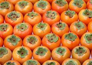 手土産にちょうど良いサイズのせんべい