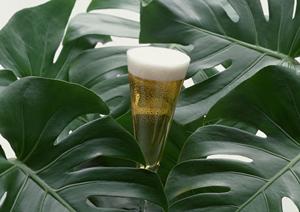 大阪市にある自習室として利用できる店舗